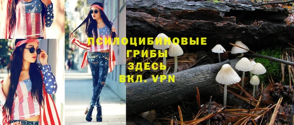 ешки Алексеевка