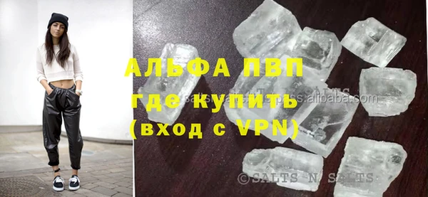 хмурый Алексин