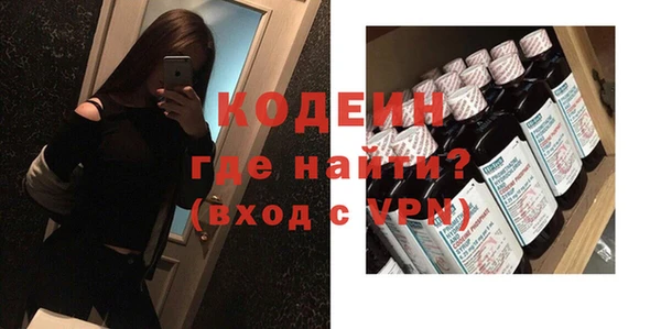 хмурый Алексин