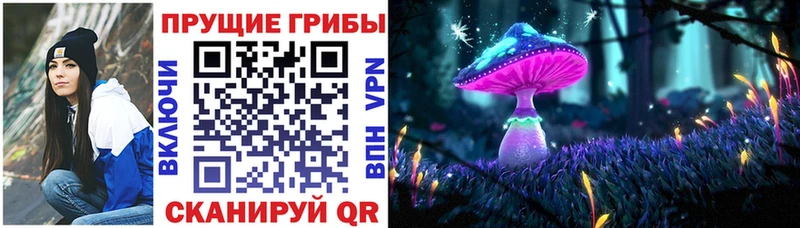 сколько стоит  Биробиджан  Галлюциногенные грибы прущие грибы 