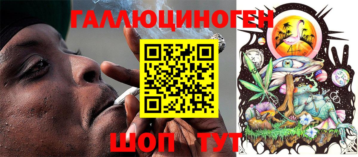 Биробиджан  Псилоцибиновые грибы Cubensis  Вход с VPN  Псилоцибиновые грибы Psilocybine cubensis 