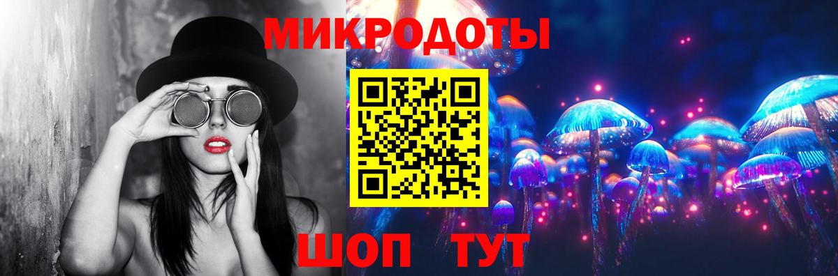 Галлюциногенные грибы Psilocybe Биробиджан